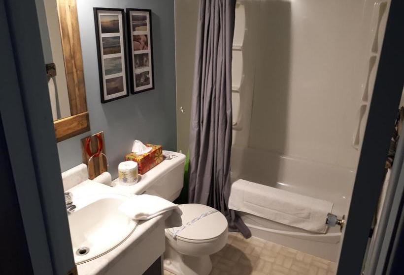 酒店 Hôtel Aux Vieux Bardeaux