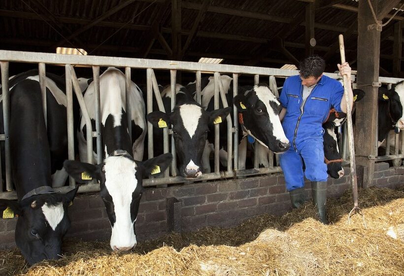 酒店 Huisjes Andijk