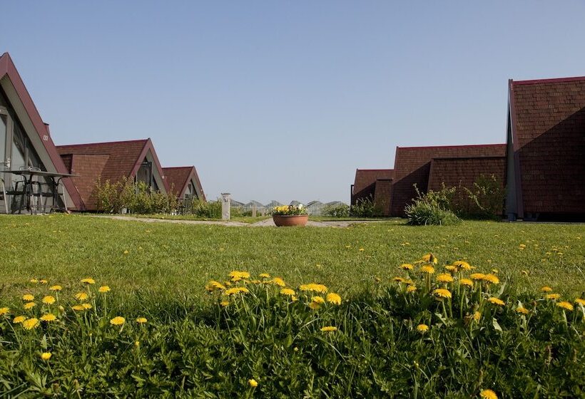 酒店 Huisjes Andijk