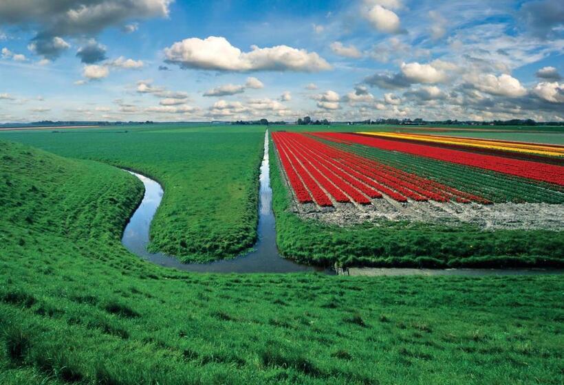 酒店 Huisjes Andijk