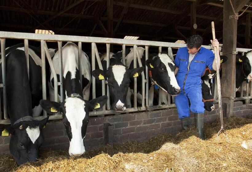 酒店 Huisjes Andijk