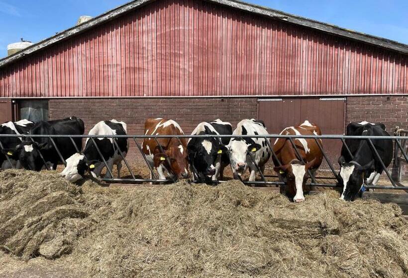 酒店 Huisjes Andijk