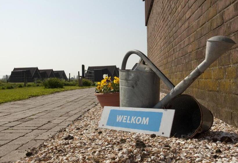 酒店 Huisjes Andijk