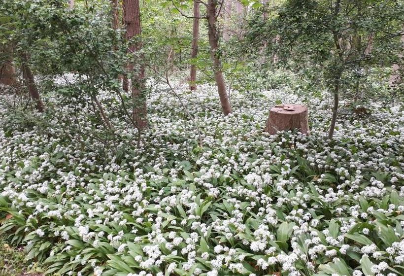 בית מלון כפרי Huys Ter Schelde