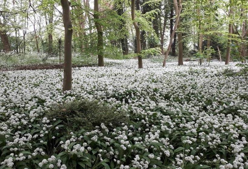 בית מלון כפרי Huys Ter Schelde