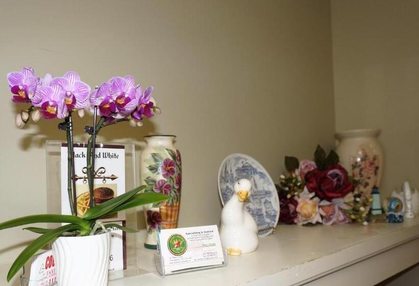 호텔 Inn On The Harbour