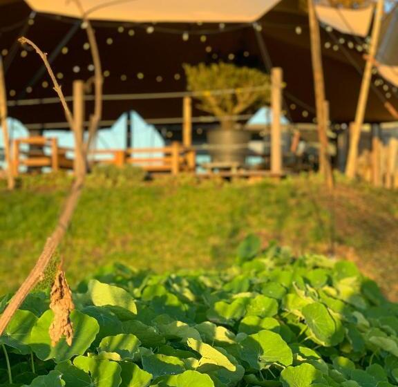 בית מלון כפרי Ludiek Eten En Slapen