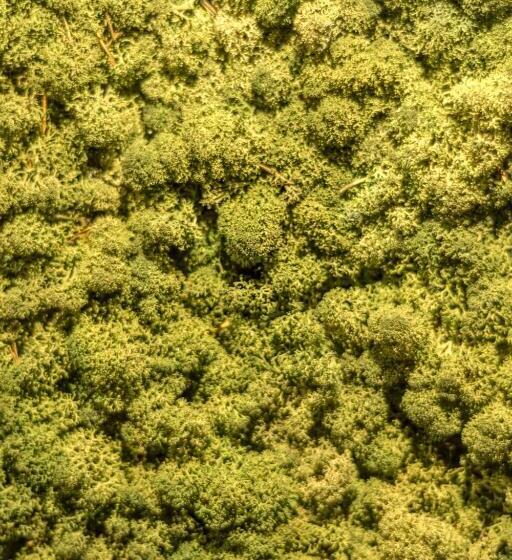 בית מלון כפרי Ludiek Eten En Slapen