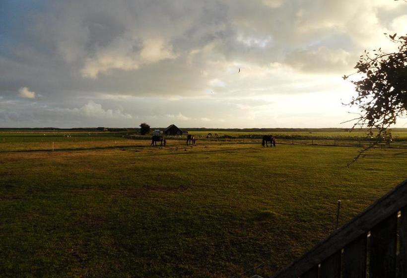 فندق Ambla Appartementen