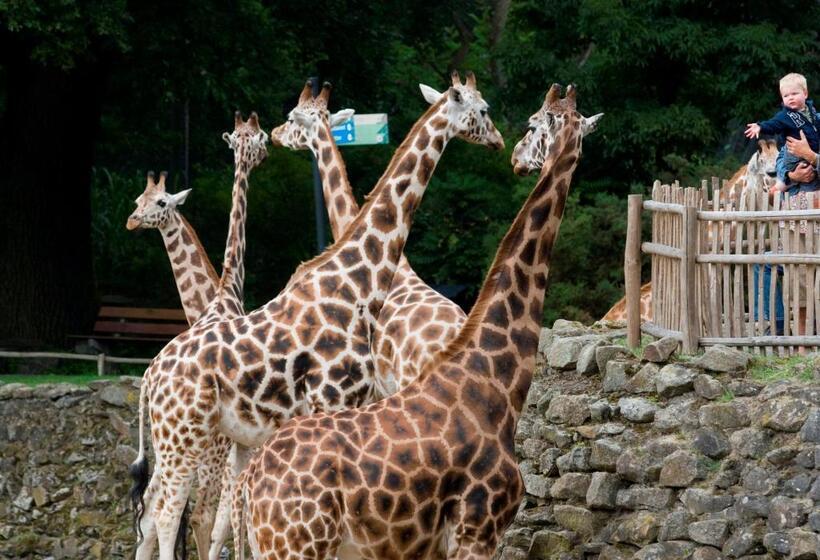 בית מלון כפרי Restaurant De Meulenhoek