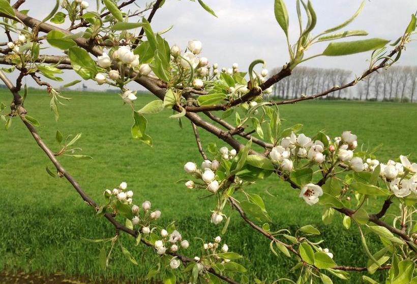 בית מלון כפרי Restaurant 't Veerhuis