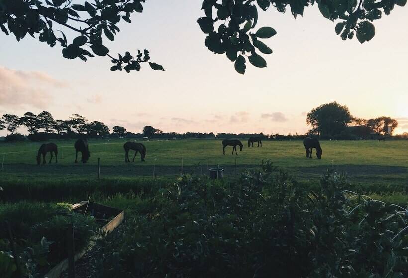 בית מלון כפרי & Restaurant Weidumerhout