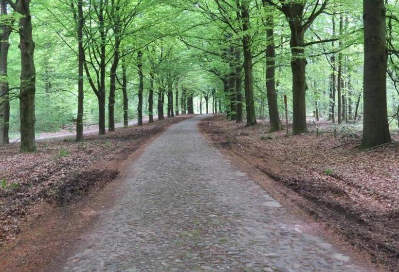 בית מלון כפרי T Zwanemeer