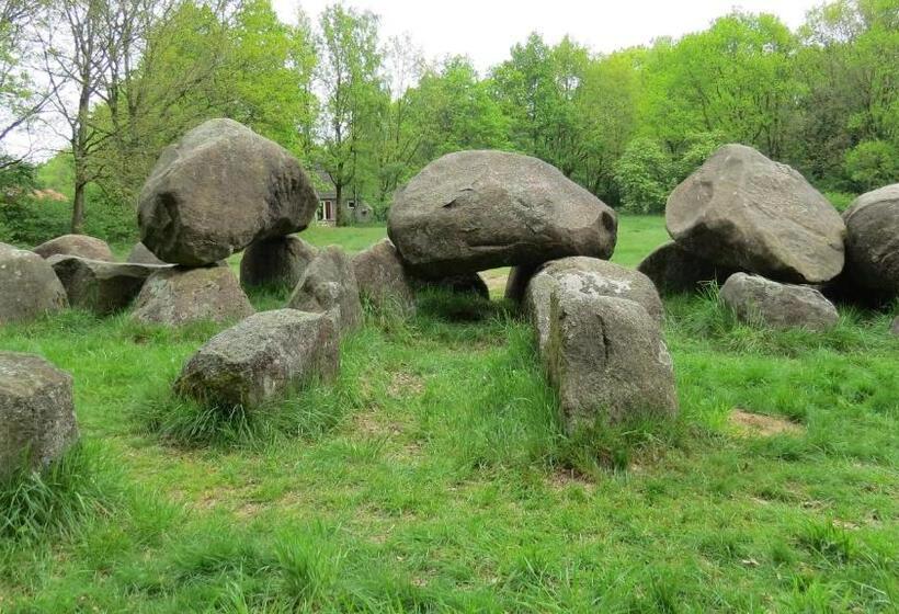 בית מלון כפרי T Zwanemeer