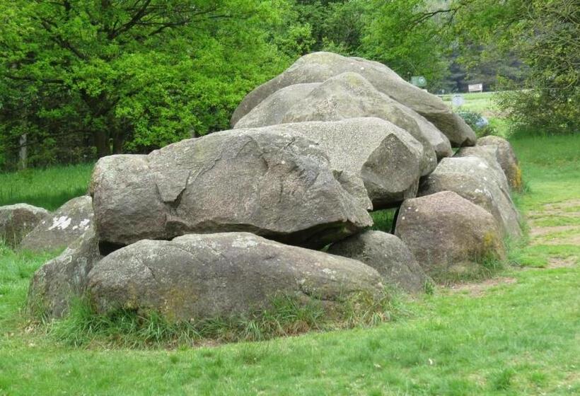 בית מלון כפרי T Zwanemeer