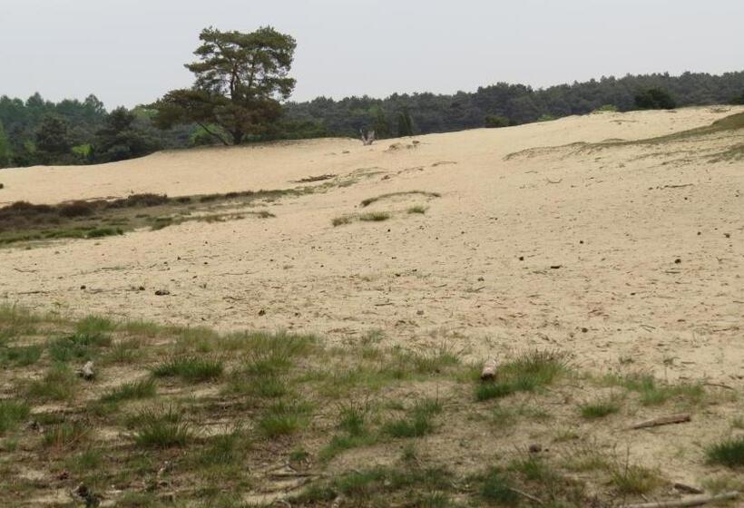 בית מלון כפרי T Zwanemeer