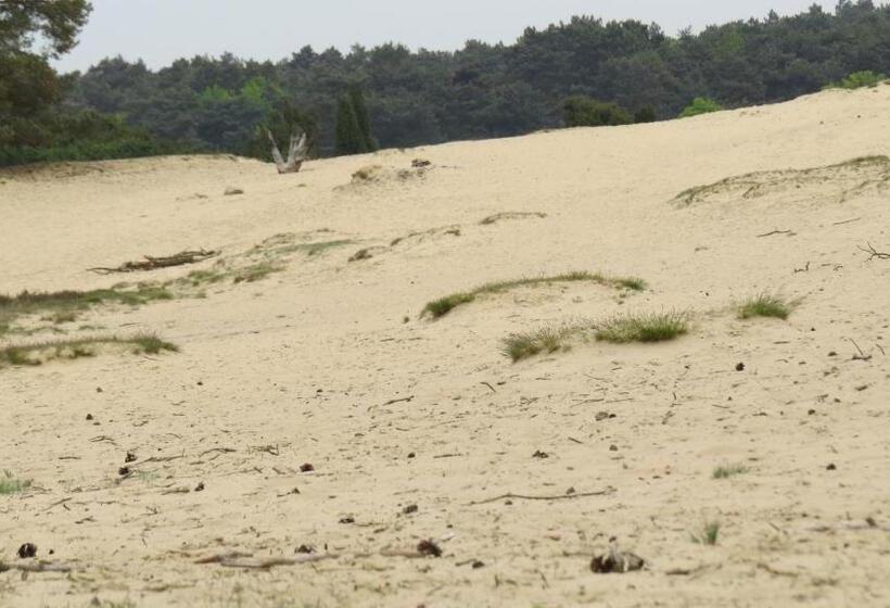 בית מלון כפרי T Zwanemeer