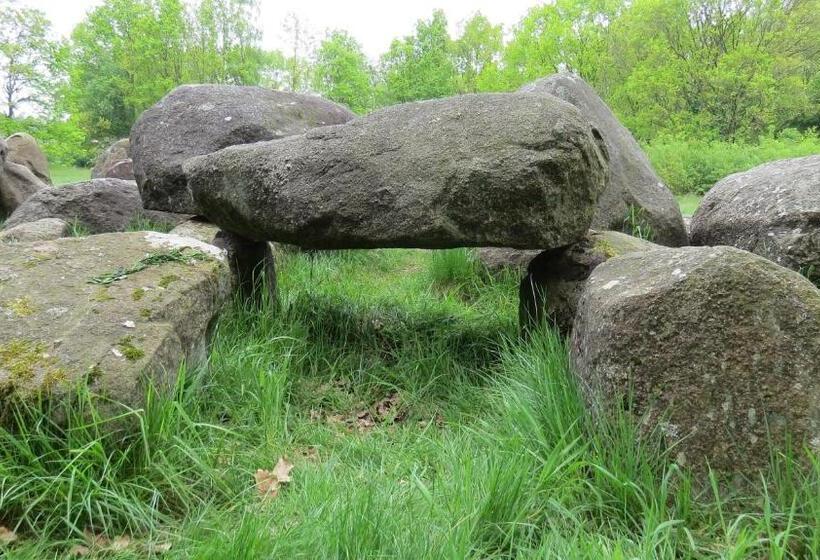 בית מלון כפרי T Zwanemeer