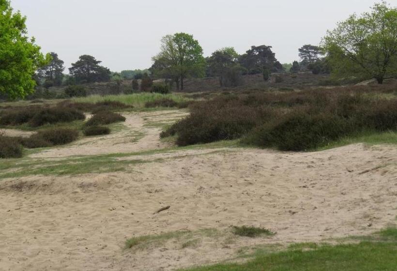 בית מלון כפרי T Zwanemeer