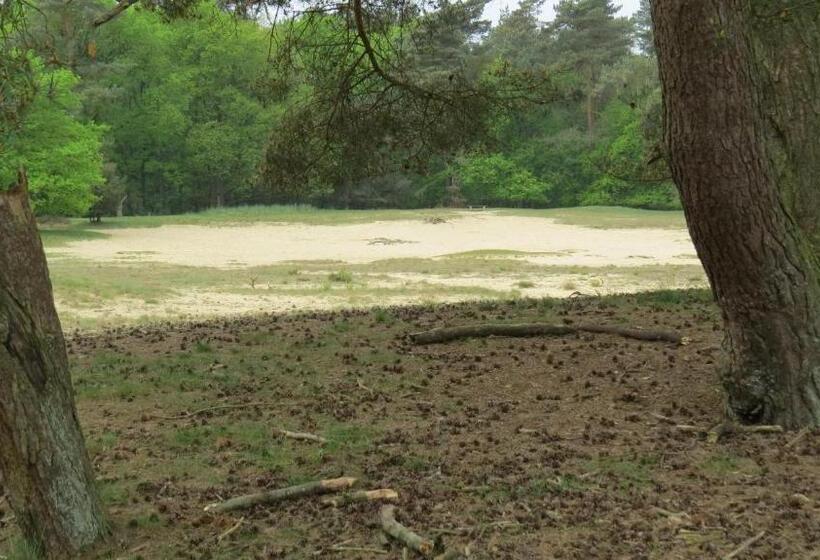 בית מלון כפרי T Zwanemeer