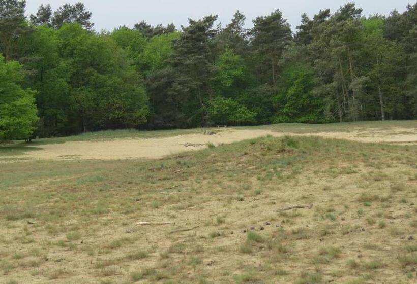 בית מלון כפרי T Zwanemeer