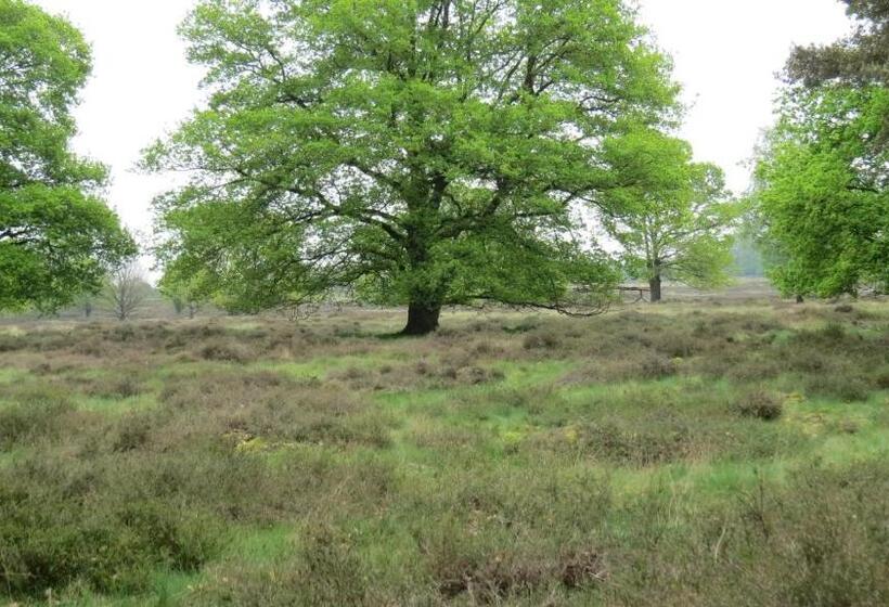 בית מלון כפרי T Zwanemeer