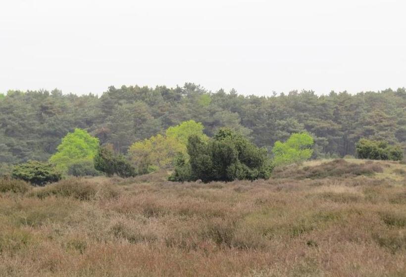 בית מלון כפרי T Zwanemeer