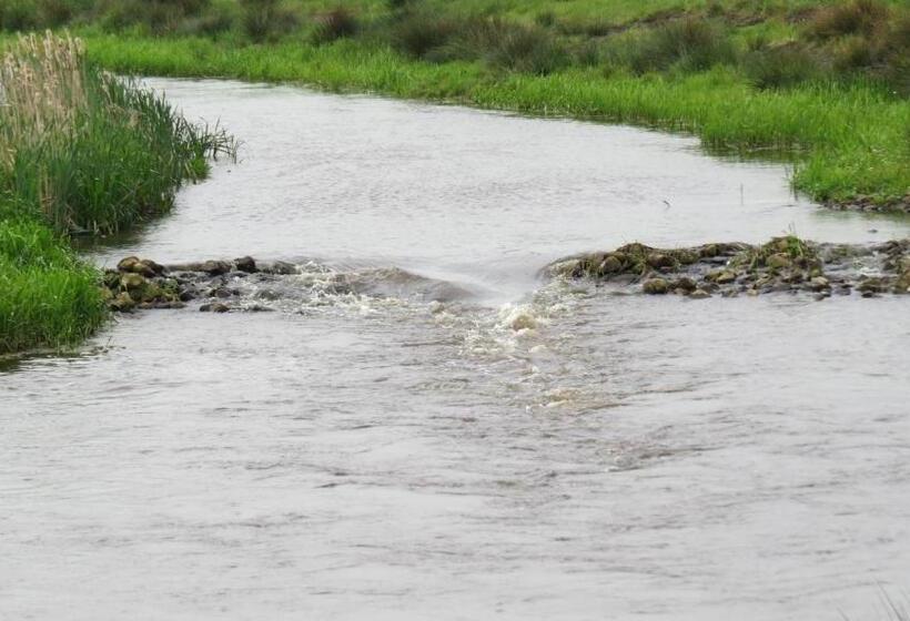 בית מלון כפרי T Zwanemeer