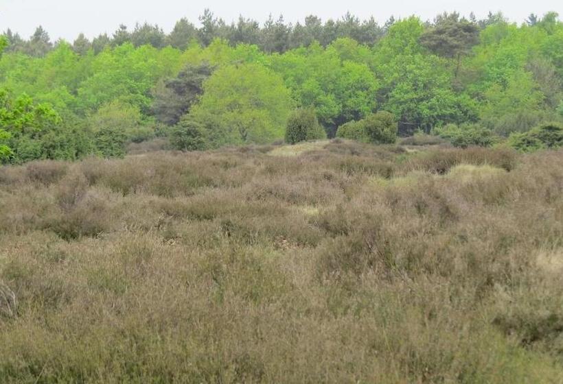 בית מלון כפרי T Zwanemeer