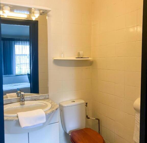 בית מלון כפרי T Zwanemeer