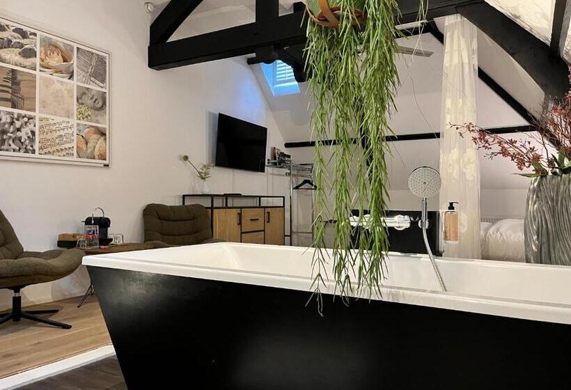 בית מלון כפרי Villa Ruimzicht