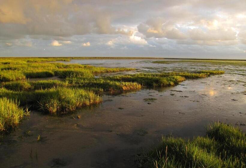 هتل Waddengenot