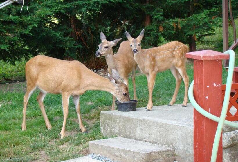 Hummers Haven Bed And Breakfast