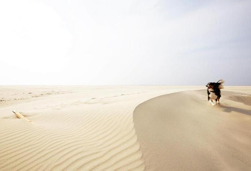 Loods Hotel Vlieland