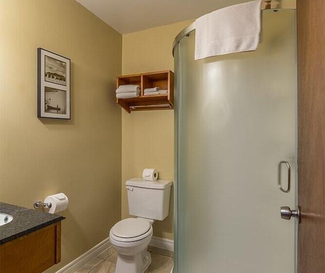 모텔 Alpine Motor Inn