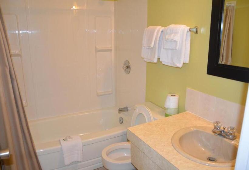 מוטל Coachman Inn