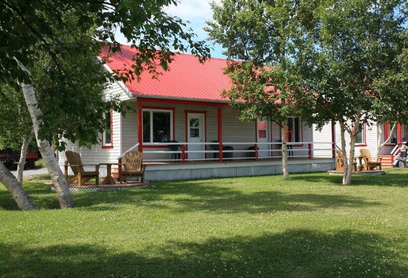 Motel Et Chalets Bo Fleuve Evangeline