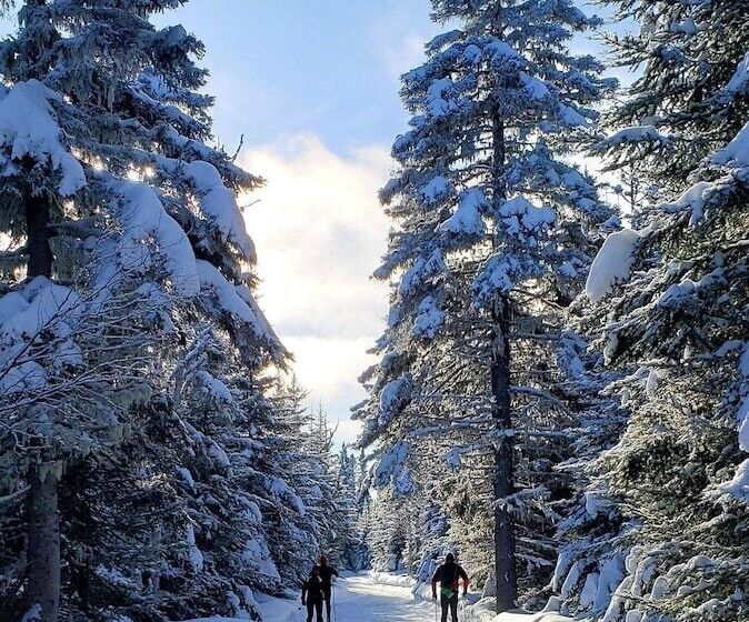 Motel Le Point De Vue