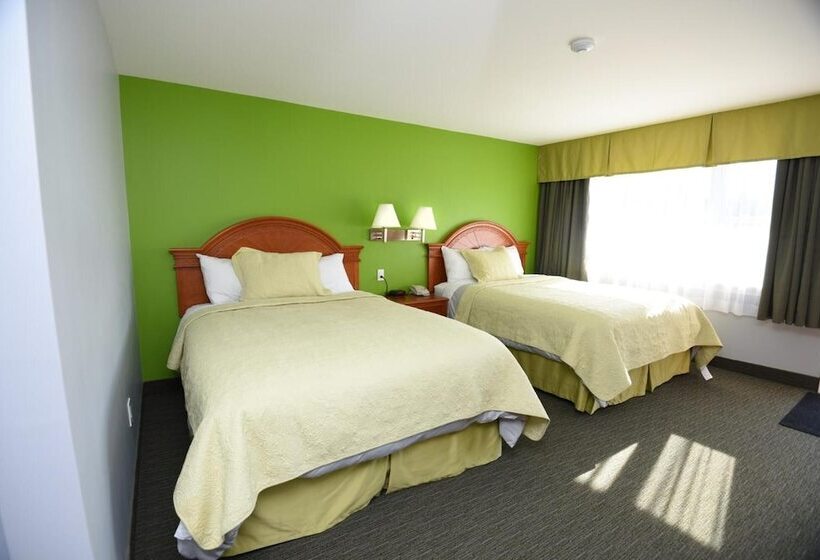 モーテル Nipissing Inn