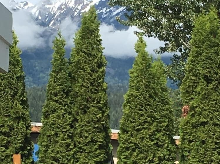 מוטל Pinewood Inn