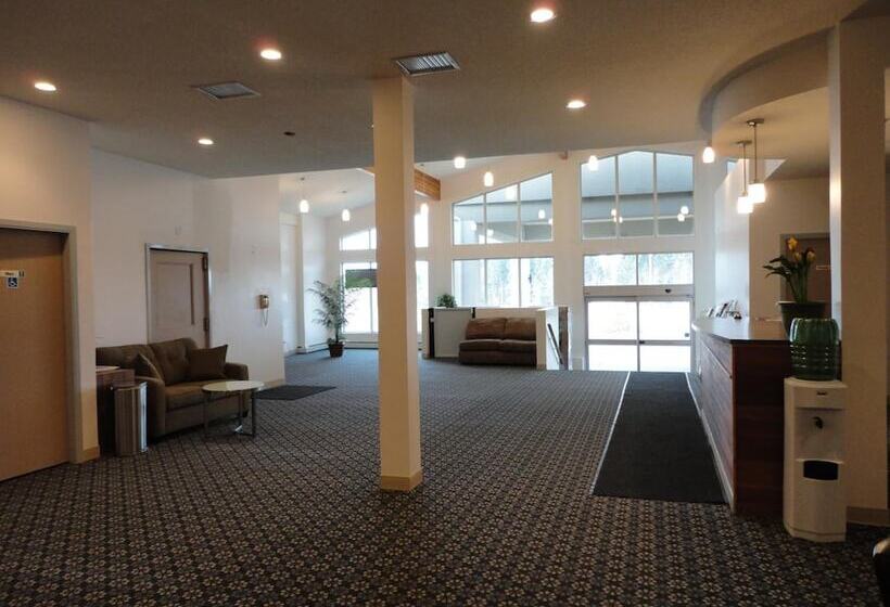 汽车旅馆 South Hill Motor Inn