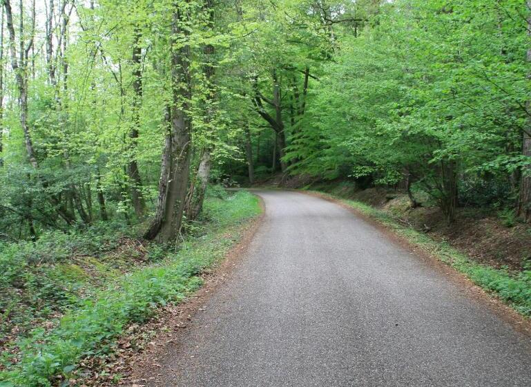 Stadshotel Ootmarsum