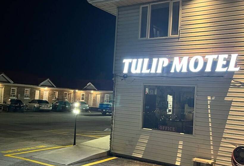 Tulip Motel