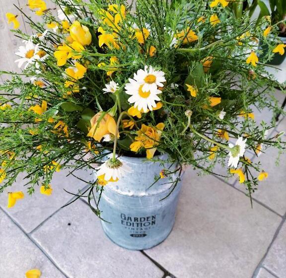 Bed and Breakfast Chez Didier Et Gene