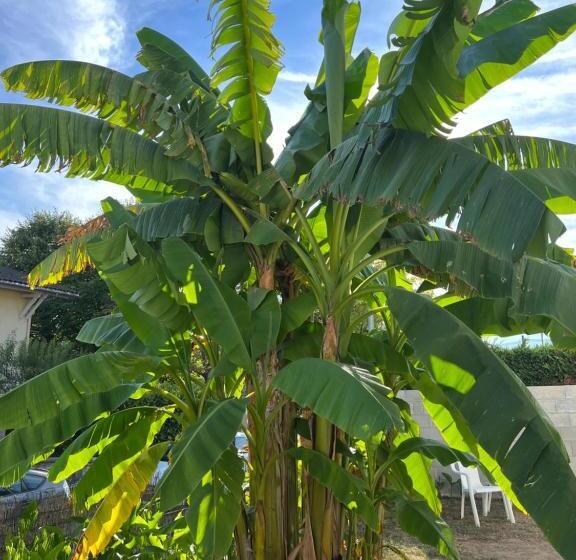 Bed and Breakfast Villa Des Palmiers, Chambre 2, Lit Double