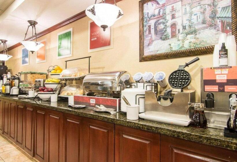 호텔 Comfort Inn & Suites Suwanee   Sugarloaf