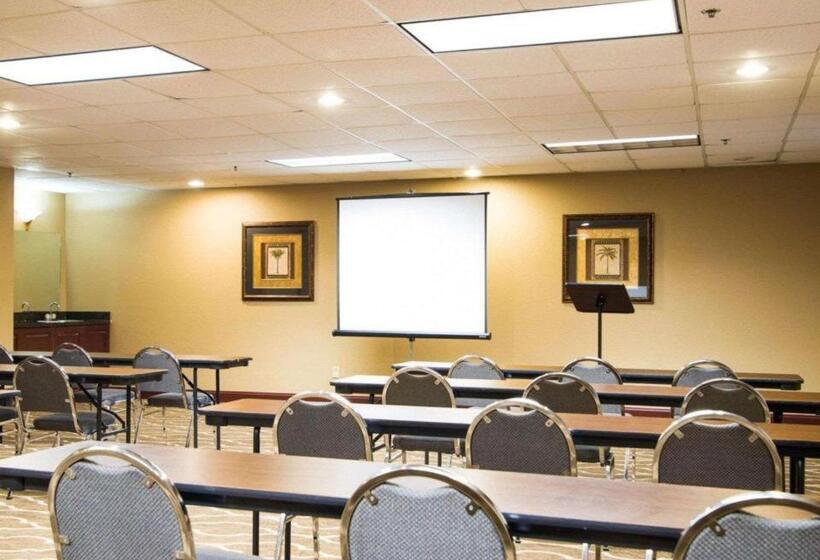 호텔 Comfort Inn & Suites Suwanee   Sugarloaf