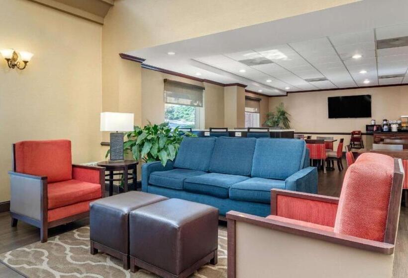 호텔 Comfort Inn & Suites Suwanee   Sugarloaf