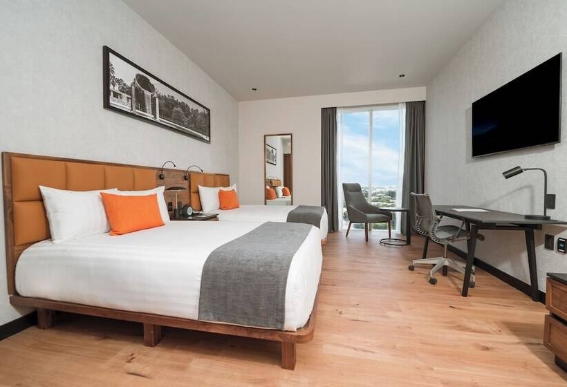 فندق Galeria Plaza Leon