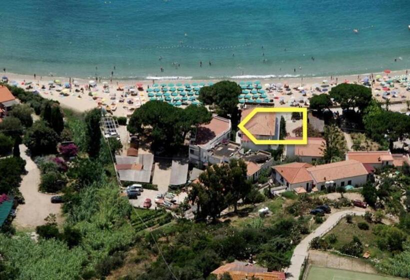 酒店 Lorenza B&b E Mini Suite